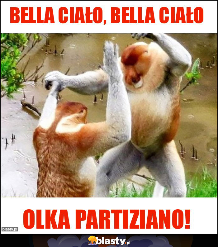 Bella ciało, bella ciało Bella ciało, bella ciało