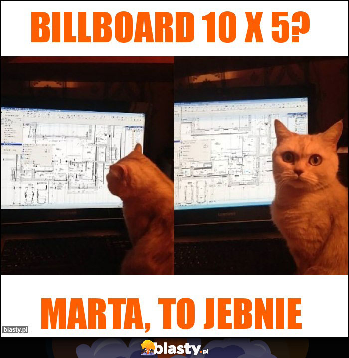 Billboard 10 x 5? Billboard 10 x 5?