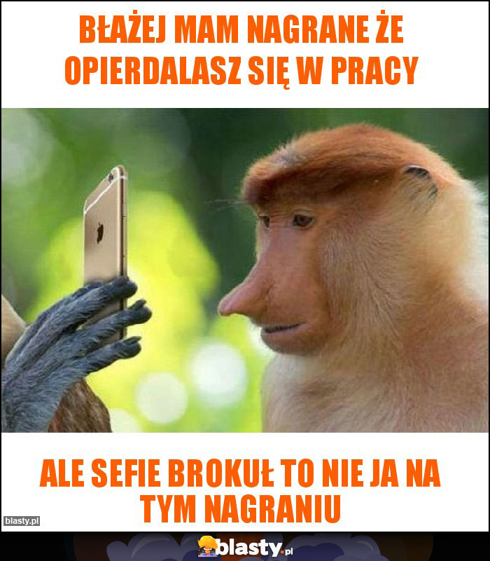 Błażej mam nagrane że opierdalasz się w pracy Błażej mam nagrane że opierdalasz się w pracy