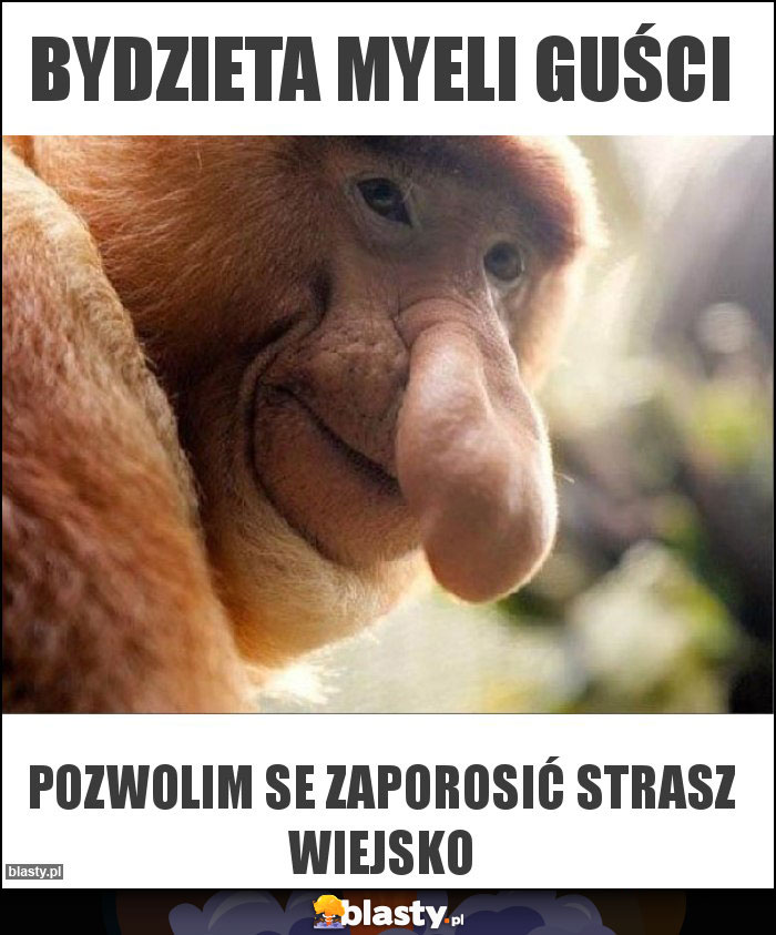 Bydzieta myeli guści Bydzieta myeli guści