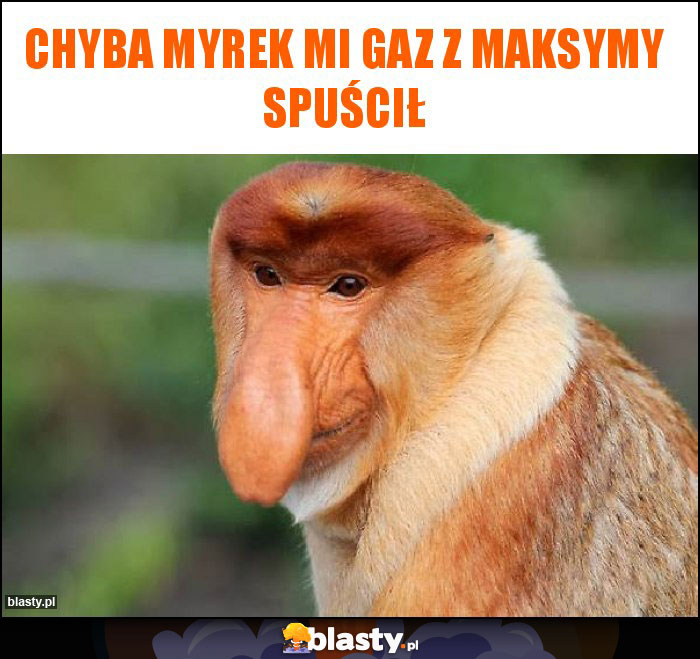 Chyba Myrek mi gaz z Maksymy spuścił Chyba Myrek mi gaz z Maksymy spuścił
