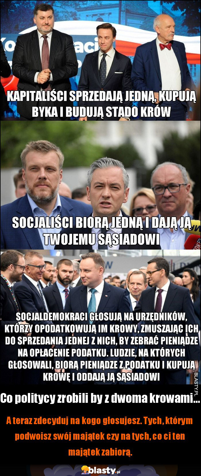 Co politycy zrobili by z dwoma krowami... Co politycy zrobili by z dwoma krowami...