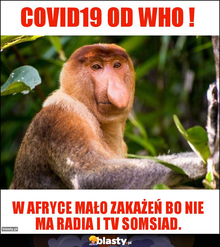 Covid19 od WHO ! Covid19 od WHO !