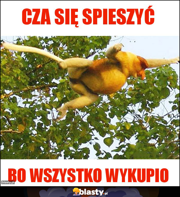 CZA SIĘ SPIESZYĆ CZA SIĘ SPIESZYĆ