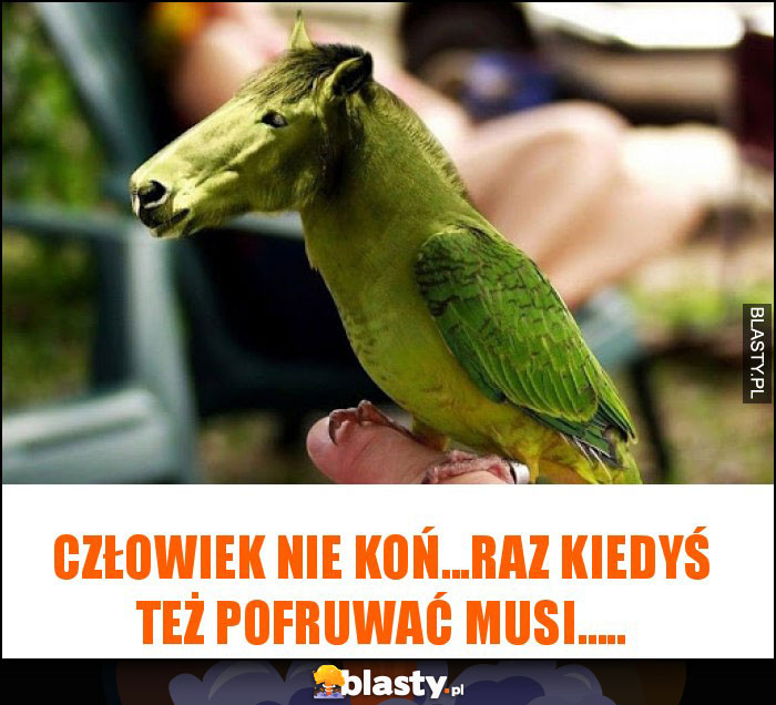 człowiek nie koń...raz kiedyś też pofruwać musi..... człowiek nie koń...raz kiedyś też pofruwać musi.....