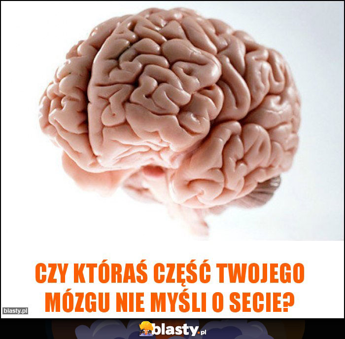 Czy któraś część Twojego mózgu nie myśli o secie? Czy któraś część Twojego mózgu nie myśli o secie?