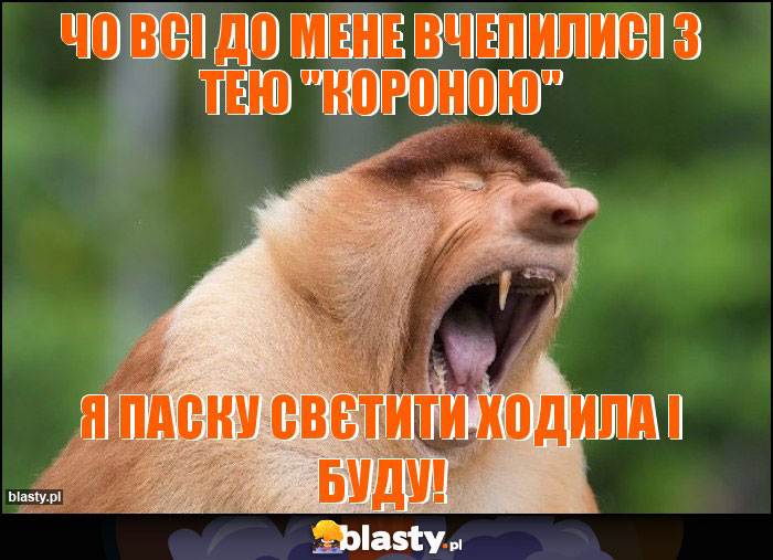 чо всі до мене вчепилисі з тею чо всі до мене вчепилисі з тею