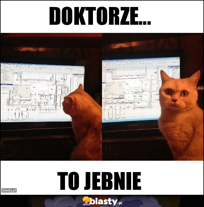 Doktorze... Doktorze...