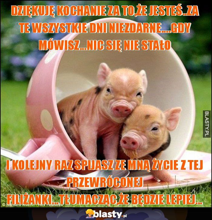Dziękuję kochanie za to,że jesteś..za te wszystkie dni niezdarne....gdy mówisz...nic się nie stało Dziękuję kochanie za to,że jesteś..za te wszystkie dni niezdarne....gdy mówisz...nic się nie stało