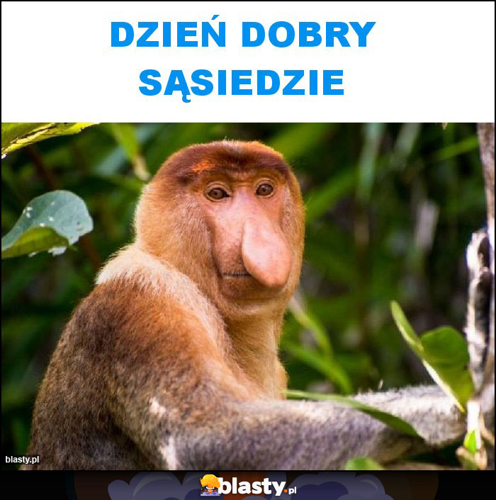 DZIEŃ DOBRY SĄSIEDZIE DZIEŃ DOBRY SĄSIEDZIE