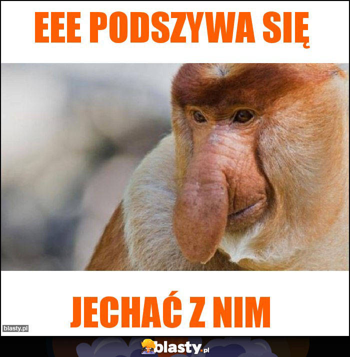 EEe podszywa się