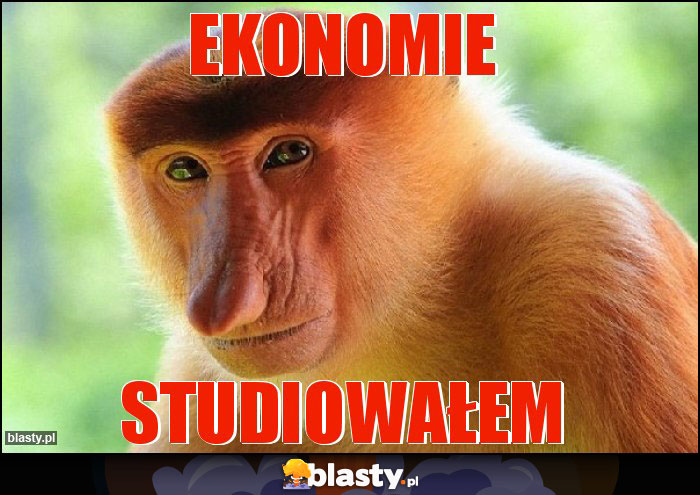 Ekonomie
