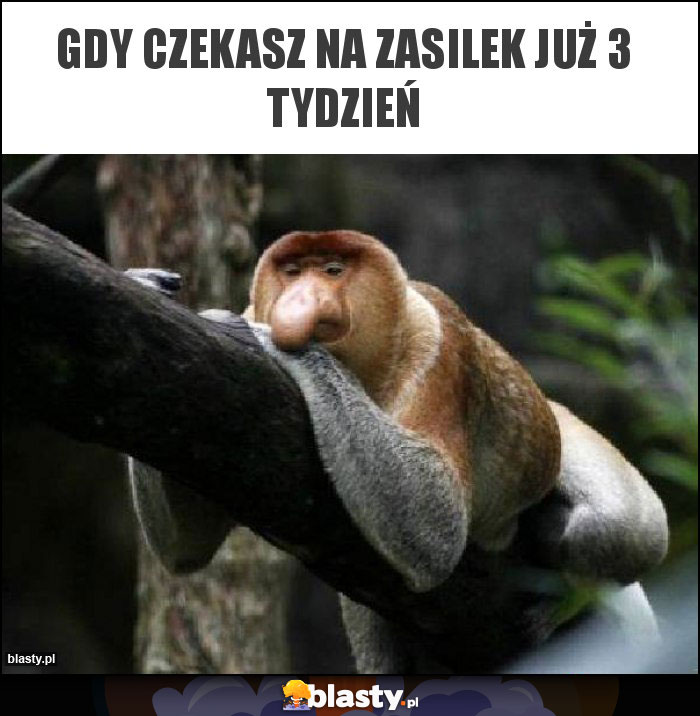 Gdy czekasz na zasilek już 3 tydzień Gdy czekasz na zasilek już 3 tydzień