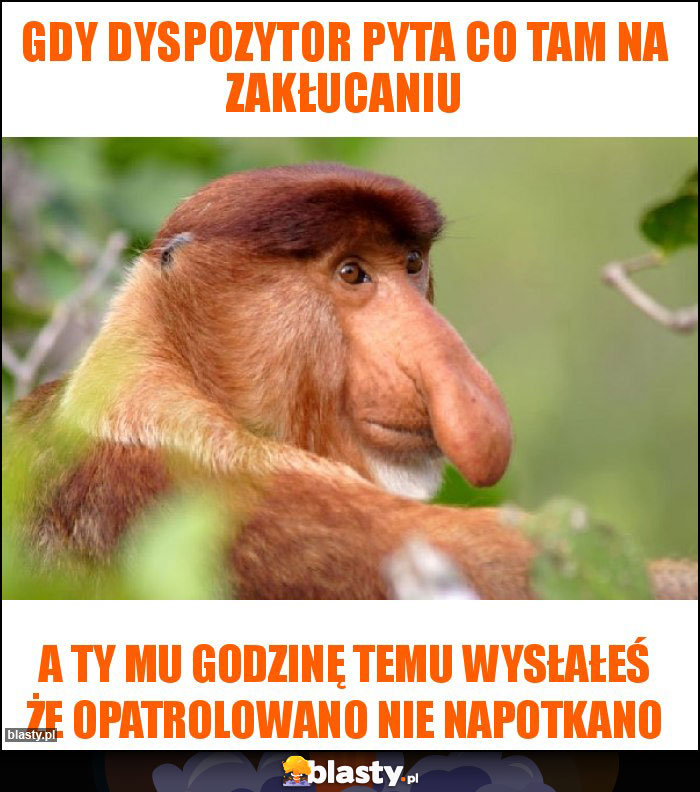 Gdy dyspozytor pyta co tam na zakłucaniu Gdy dyspozytor pyta co tam na zakłucaniu