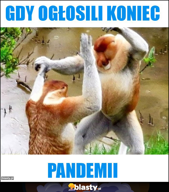 Gdy ogłosili koniec