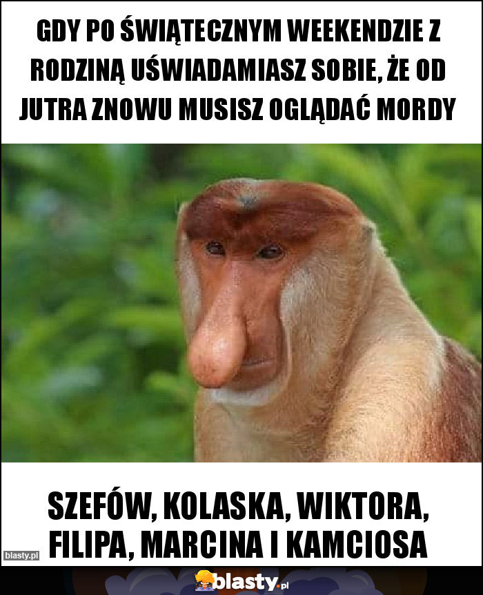 Gdy po świątecznym weekendzie z rodziną uświadamiasz sobie, że od jutra znowu musisz oglądać mordy Gdy po świątecznym weekendzie z rodziną uświadamiasz sobie, że od jutra znowu musisz oglądać mordy