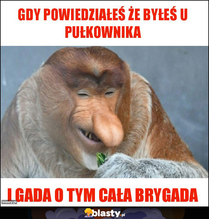 Gdy powiedziałeś że byłeś u pułkownika Gdy powiedziałeś że byłeś u pułkownika