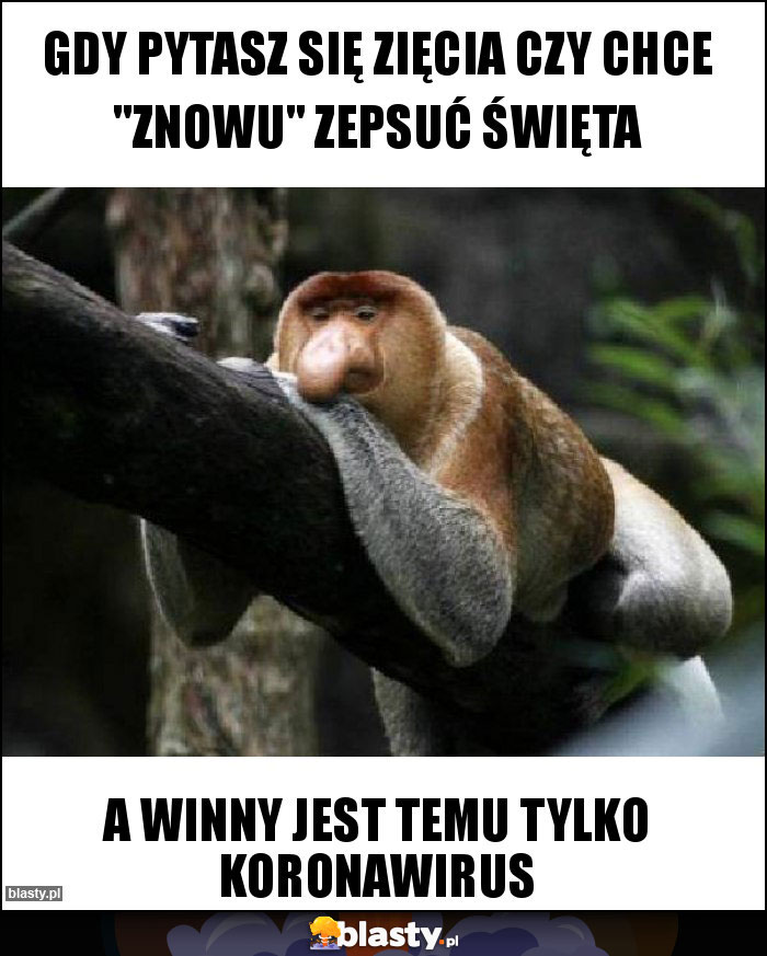 Gdy pytasz się zięcia czy chce Gdy pytasz się zięcia czy chce