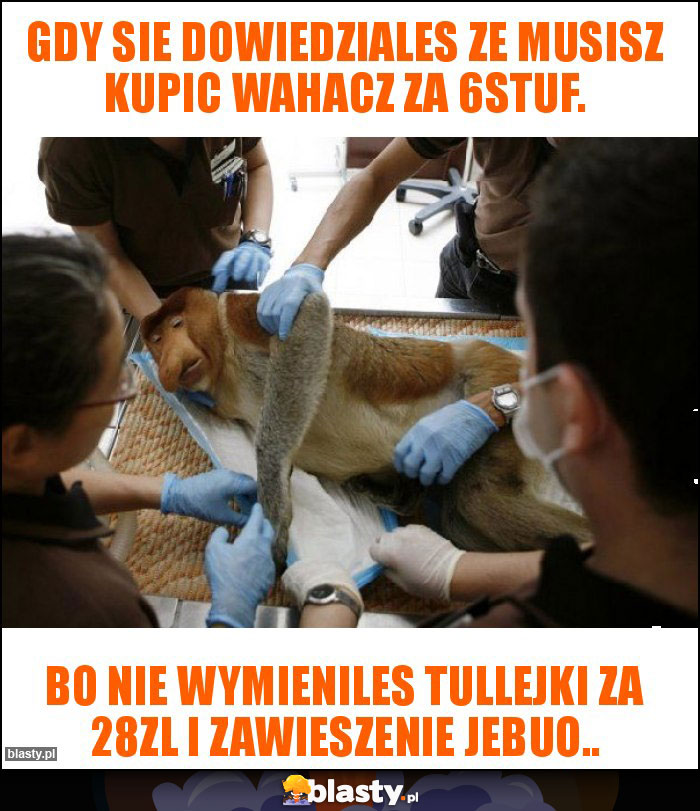 gdy sie dowiedziales ze musisz kupic wahacz za 6stuf. gdy sie dowiedziales ze musisz kupic wahacz za 6stuf.