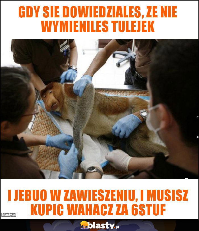 gdy sie dowiedziales, ze nie wymieniles tulejek gdy sie dowiedziales, ze nie wymieniles tulejek