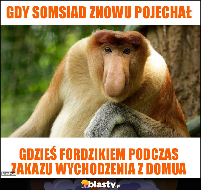Gdy somsiad znowu pojechał Gdy somsiad znowu pojechał