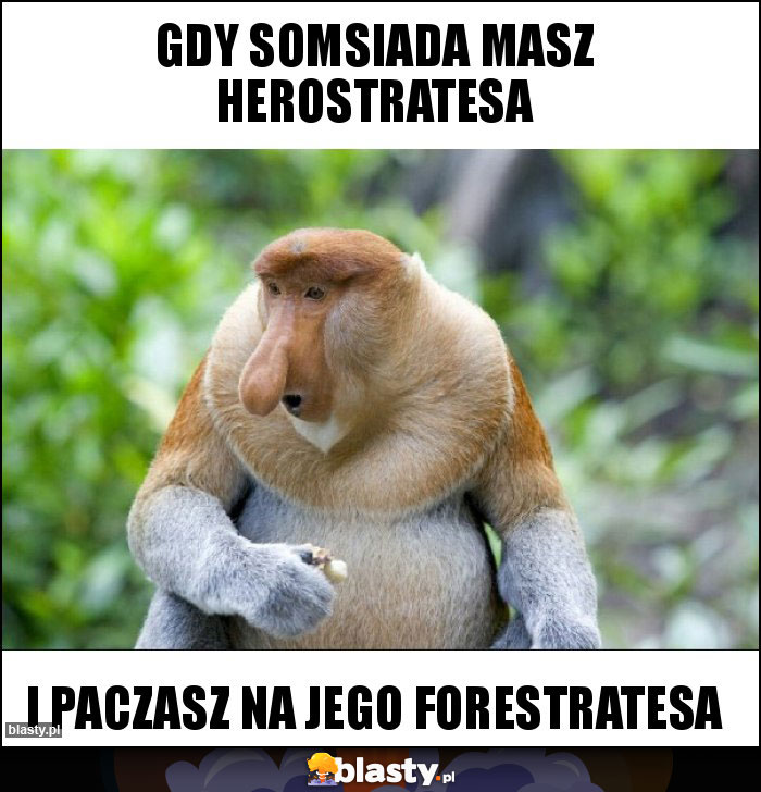 Gdy somsiada masz Herostratesa Gdy somsiada masz Herostratesa