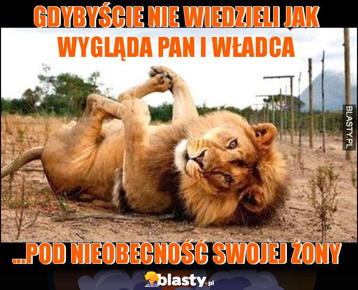 GDYBYŚCIE NIE WIEDZIELI JAK WYGLĄDA PAN I WŁADCA GDYBYŚCIE NIE WIEDZIELI JAK WYGLĄDA PAN I WŁADCA