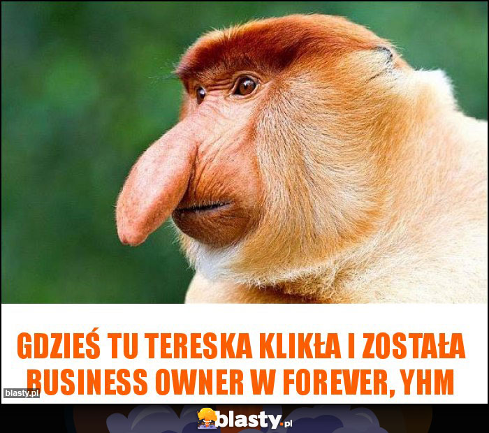 Gdzieś tu Tereska klikła i została business owner w Forever, yhm Gdzieś tu Tereska klikła i została business owner w Forever, yhm