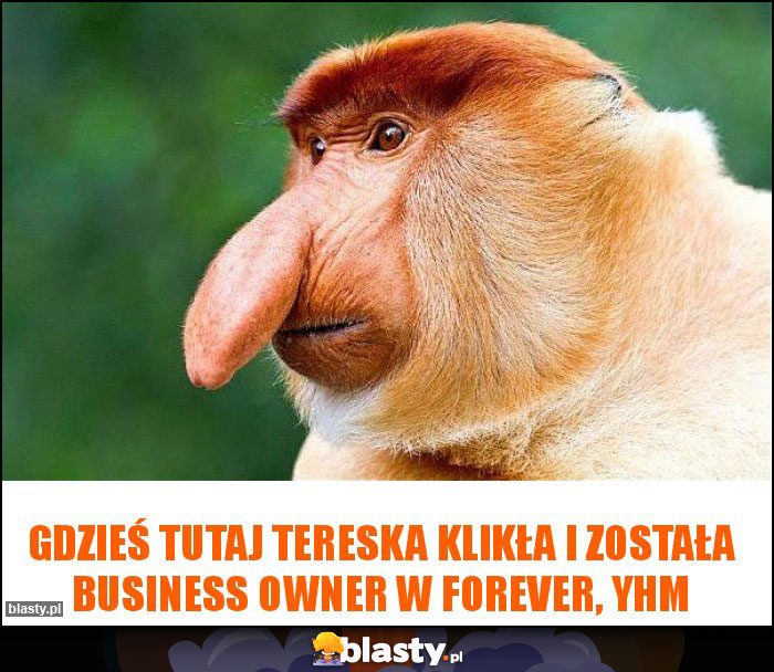 Gdzieś tutaj Tereska klikła i została business owner w Forever, yhm Gdzieś tutaj Tereska klikła i została business owner w Forever, yhm