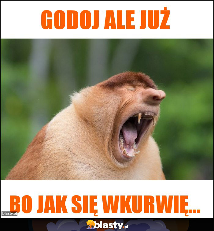 Godoj ale już