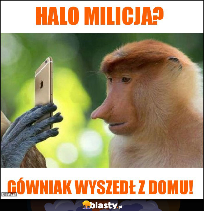 Halo milicja? Halo milicja?