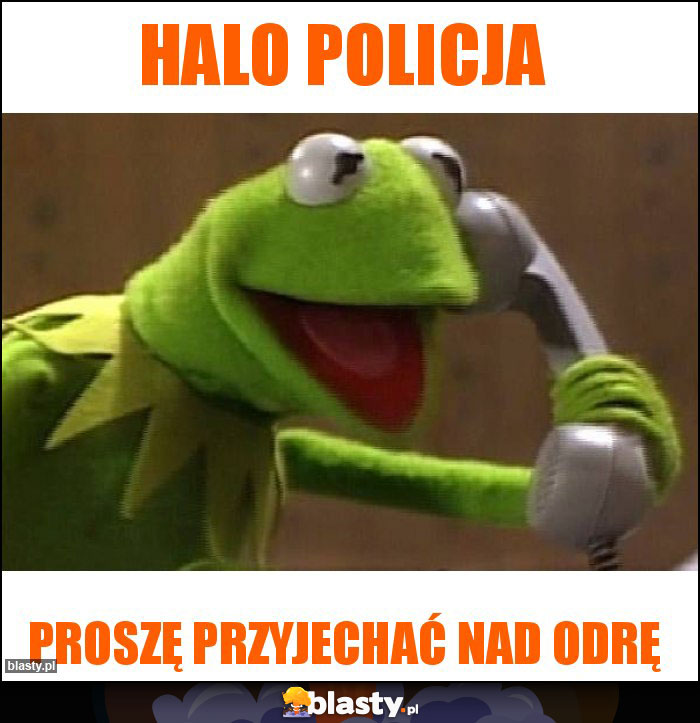 Halo policja Halo policja