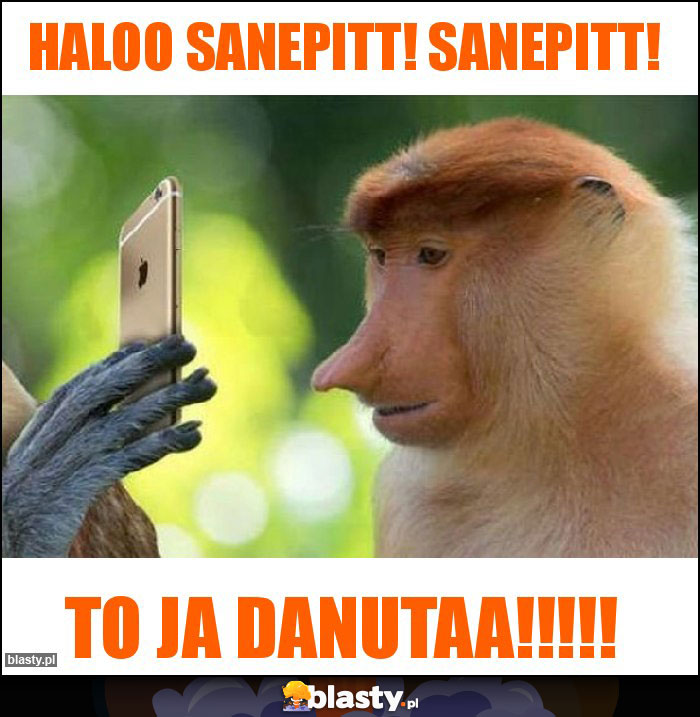 Haloo Sanepitt! SANEPITT! Haloo Sanepitt! SANEPITT!