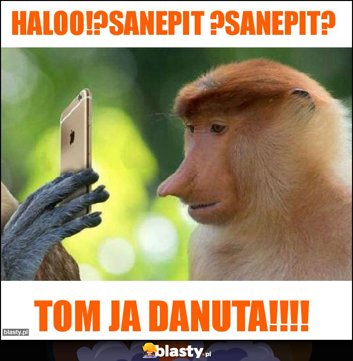 Haloo!?Sanepit ?Sanepit? Haloo!?Sanepit ?Sanepit?