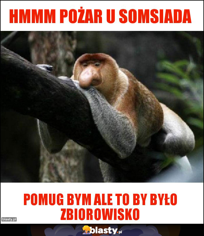 Hmmm pożar u somsiada Hmmm pożar u somsiada