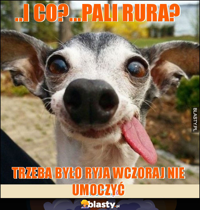 ..i co?...pali rura? ..i co?...pali rura?