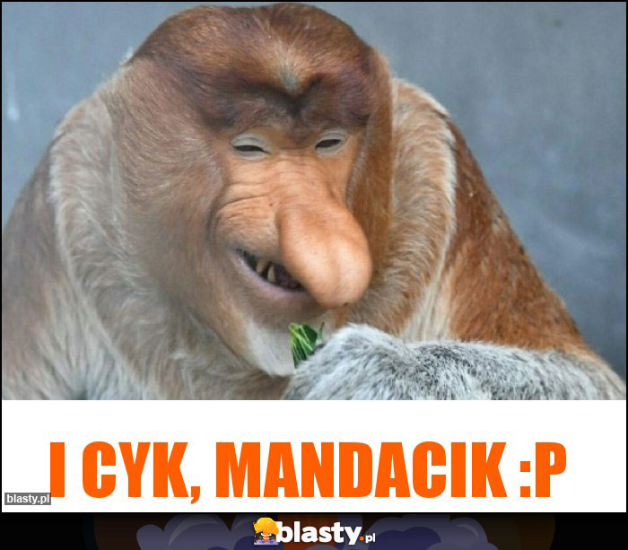 I cyk, mandacik :P I cyk, mandacik :P