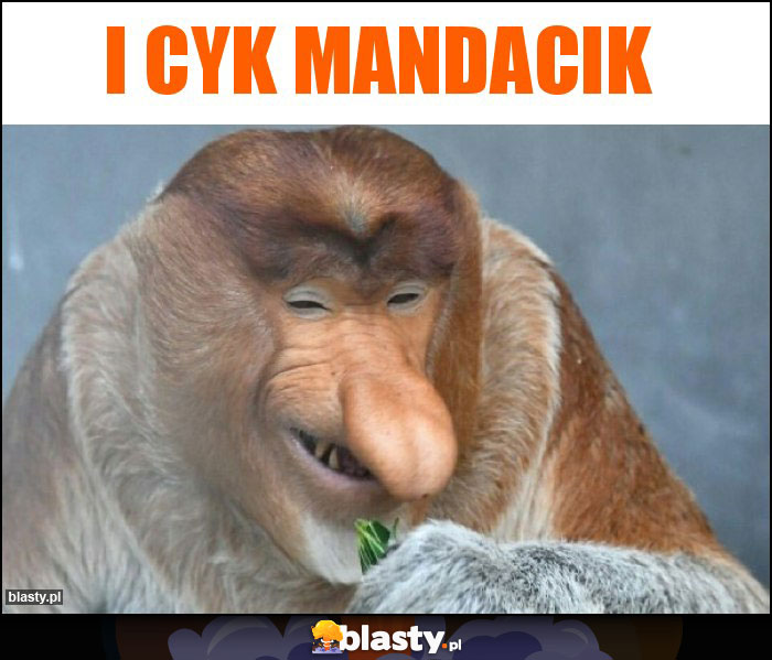 I cyk mandacik I cyk mandacik