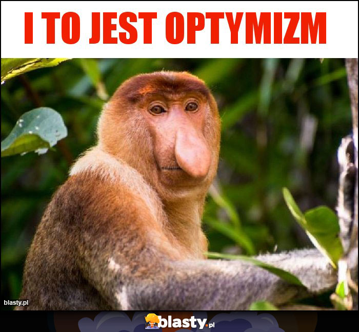 I to jest optymizm I to jest optymizm