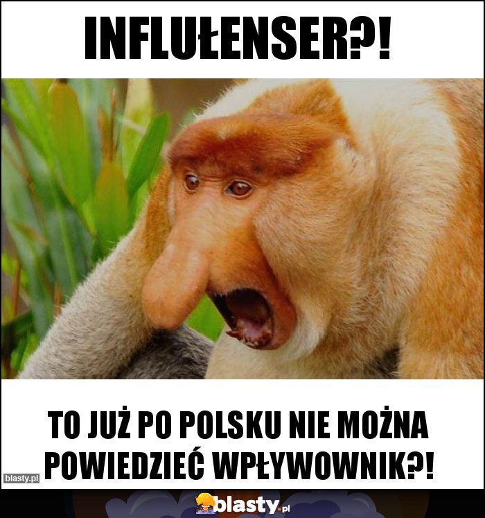 Influłenser?! Influłenser?!