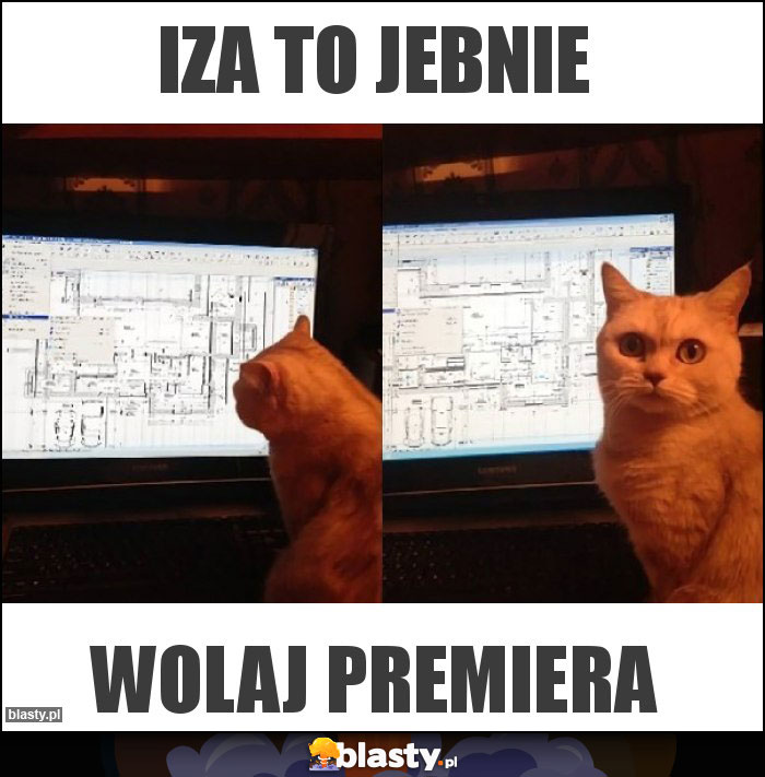 Iza to jebnie Iza to jebnie
