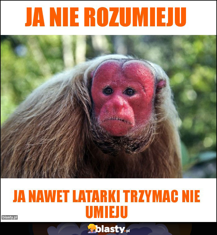 Ja nie rozumieju Ja nie rozumieju