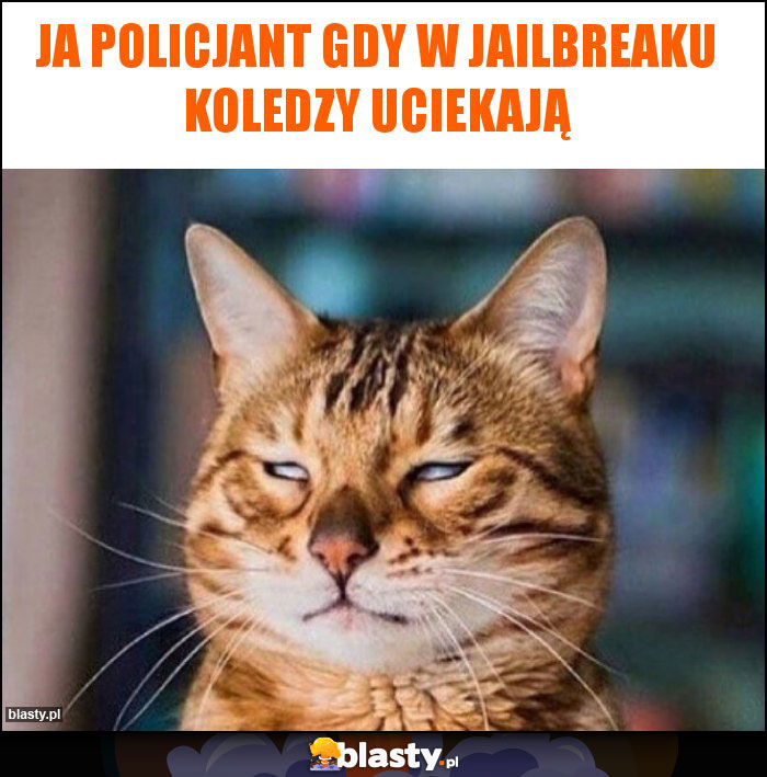 JA policjant gdy w jailbreaku koledzy uciekają JA policjant gdy w jailbreaku koledzy uciekają
