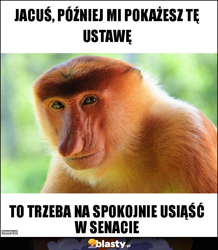 Jacuś, później mi pokażesz tę ustawę Jacuś, później mi pokażesz tę ustawę
