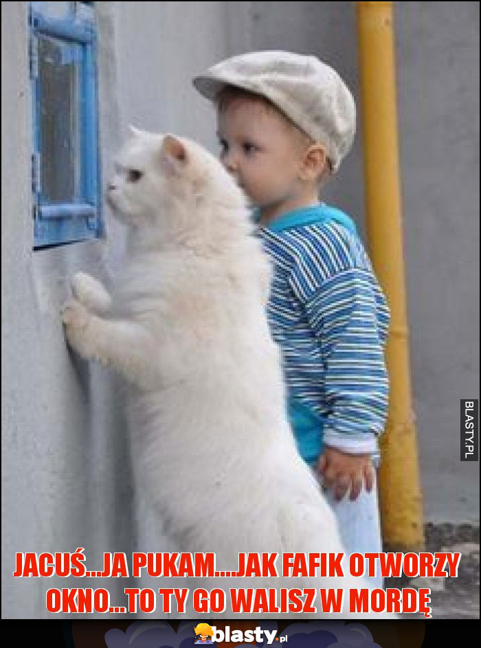 Jacuś...Ja pukam....jak fafik otworzy okno...to ty go walisz w mordę Jacuś...Ja pukam....jak fafik otworzy okno...to ty go walisz w mordę