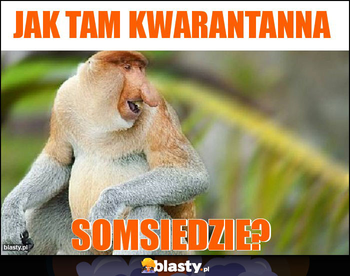 JAK TAM KWARANTANNA JAK TAM KWARANTANNA