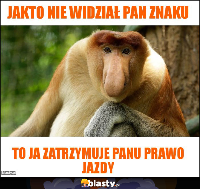Jakto nie widział pan znaku Jakto nie widział pan znaku