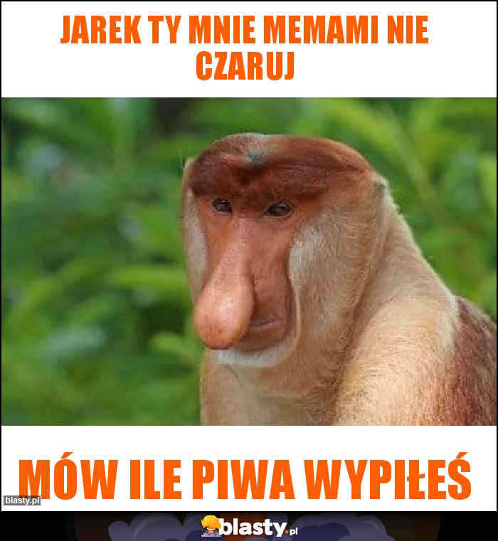Jarek ty mnie memami nie czaruj