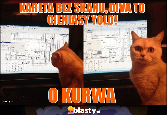 Kareta bez skanu, DIVA to cieniasy YOLO! Kareta bez skanu, DIVA to cieniasy YOLO!