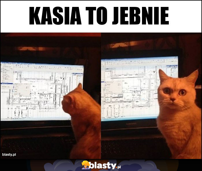 kasia to jebnie kasia to jebnie